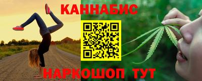 крисы Камышлов