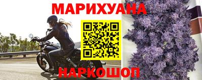 крисы Камышлов