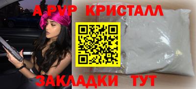 крисы Камышлов