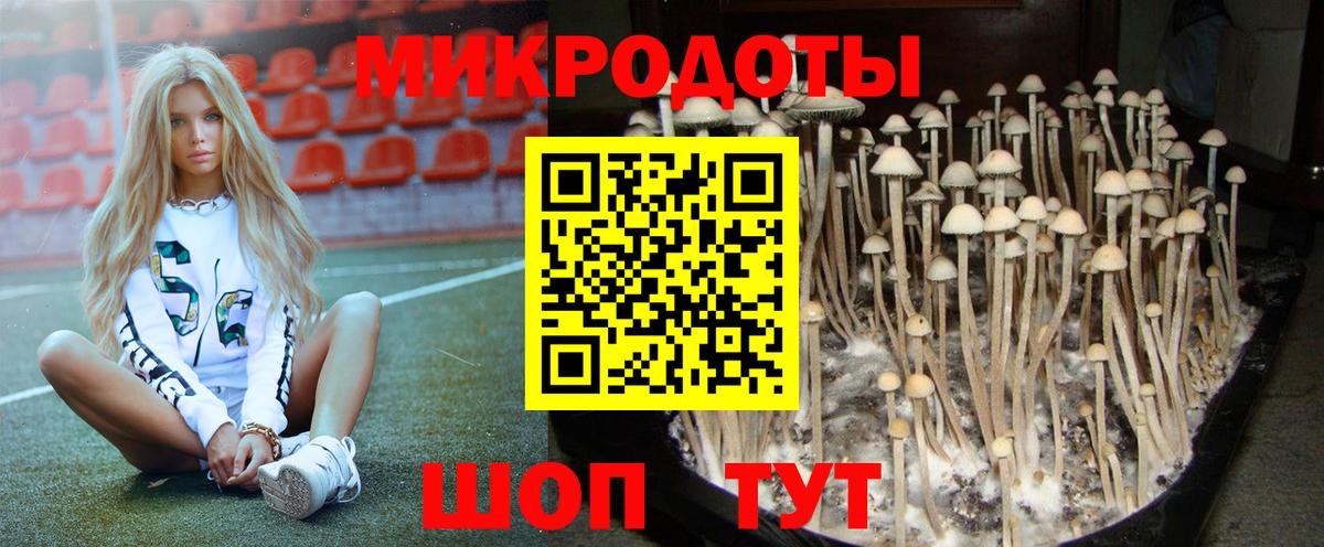 Озёры  Галлюциногенные грибы Cubensis  Вход с VPN 